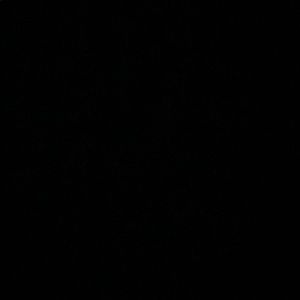 Meet your Posher, Kaylah